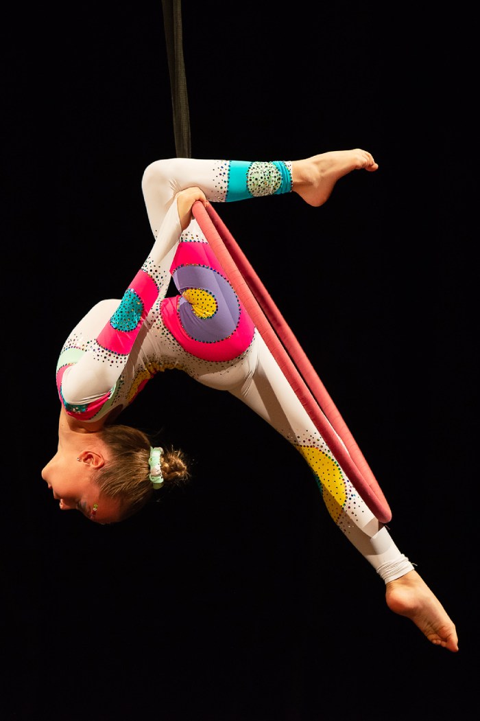 czech aerial hoop